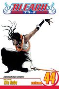 bleach, vol. 44