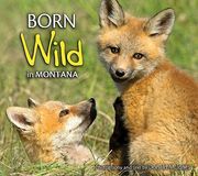 born wild in montana (en Inglés)