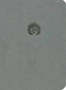 La Biblia De Estudio de La Reforma, Símil Piel, Gris claro, Lbla