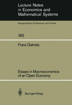 portada essays in macroeconomics of an open economy (en Inglés)