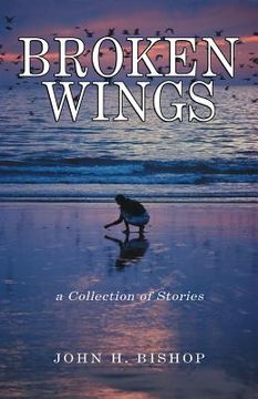portada Broken Wings: A Collection of Stories (in English)