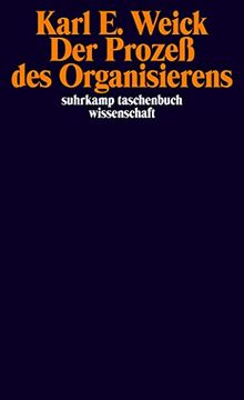 portada Der Prozeß des Organisierens (Suhrkamp Taschenbuch Wissenschaft) (en Alemán)