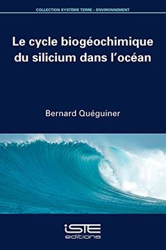 portada Cycle Biogeochmq Silicium Dans l (en Francés)