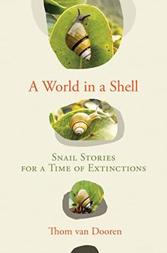 portada A World in a Shell: Snail Stories for a Time of Extinctions (in English)