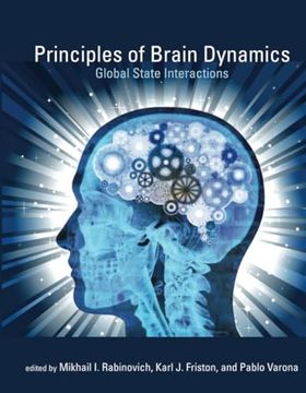 portada Principles of Brain Dynamics: Global State Interactions (Computational Neuroscience Series) (in English)