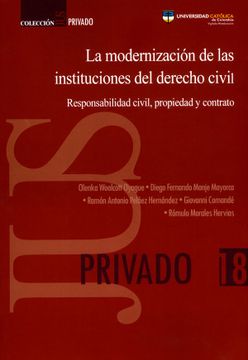 portada La modernización de las instituciones del derecho civil. Responsabilidad civil, propiedad y contrato (in Spanish)