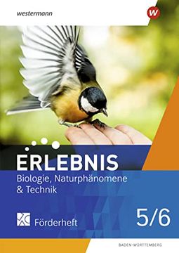 Erlebnis bnt Naturphänomene & Technik 5 / 6. Förderarbeitsheft. Für Baden-Württemberg (en Alemán)