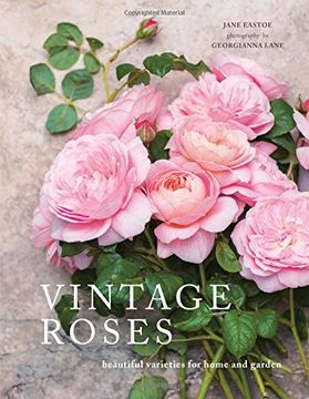 portada Vintage Roses: Beautiful Varieties for Home and Garden (in English)