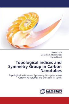 portada Topological Indices and Symmetry Group in Carbon Nanotubes