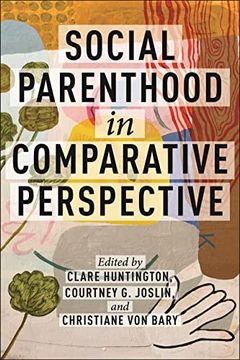 portada Social Parenthood in Comparative Perspective (Families, Law, and Society, 19) (in English)