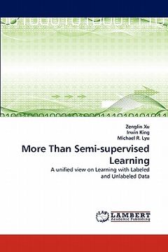 portada more than semi-supervised learning (en Inglés)