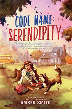 portada Code Name: Serendipity (in English)