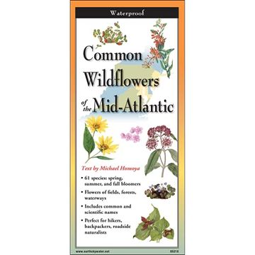 portada Common Wildflowers of the Mid-Atlantic (in English)