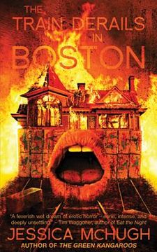 portada The Train Derails in Boston (in English)