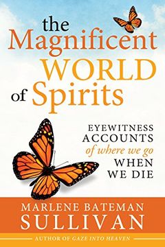 portada The Magnificent World of Spirits: Eyewitness Accounts of Where We Go When We Die (en Inglés)