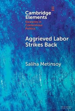 portada Aggrieved Labor Strikes Back: Inter-Sectoral Labor Mobility, Conditionality, and Unrest Under imf Programs (Elements in Contentious Politics) (in English)