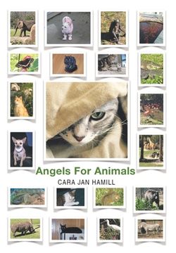 portada Angels for Animals (en Inglés)