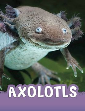 portada Axolotls (en Inglés)