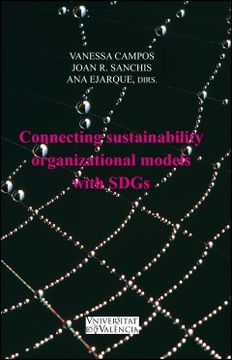 portada Connecting Sustainability Organizational Models With Sdgs (en Inglés)