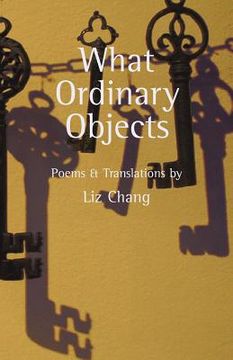 portada what ordinary objects