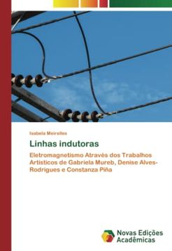 Libro Linhas Indutoras: Eletromagnetismo Atrav S Dos Trabalhos Art ...