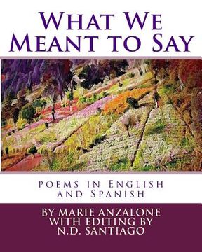 portada What We Meant to Say: poems in English and Spanish (en Inglés)