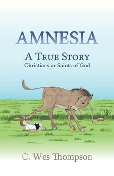 portada Amnesia: Christians or Saints of God (en Inglés)