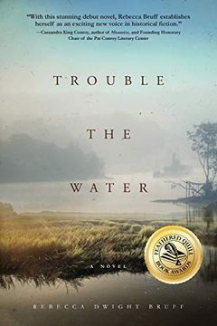 portada Trouble the Water: A Novel (en Inglés)