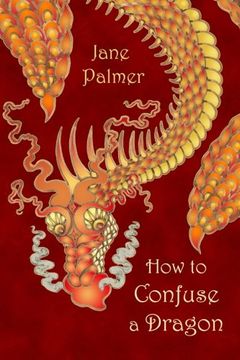 portada How to Confuse a Dragon