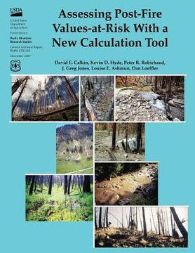 portada Assessing Post-Fire Values-At-Risk With a New Calculation Tool (en Inglés)