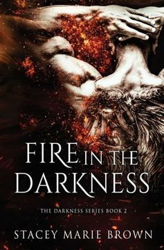 portada Fire in the Darkness (in English)