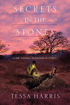 portada Secrets in the Stones (Dr. Thomas Silkstone Mystery) 