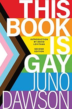 portada This Book is gay (en Inglés)