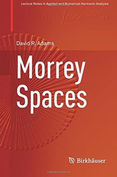 portada Morrey Spaces (Applied and Numerical Harmonic Analysis)