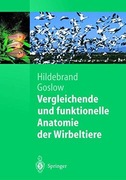 portada Vergleichende und Funktionelle Anatomie der Wirbeltiere (en Alemán)