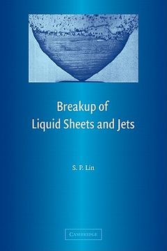 portada Breakup of Liquid Sheets and Jets (en Inglés)