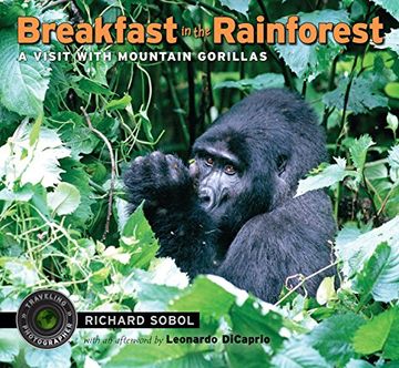 portada Breakfast in the Rainforest: A Visit With Mountain Gorillas (in English)
