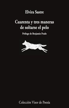 portada Cuarenta y tres maneras de soltarse el pelo
