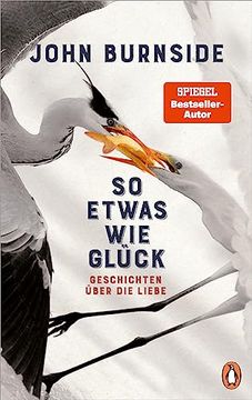 portada So Etwas wie Glück: Geschichten Über die Liebe (in German)