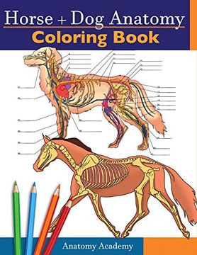 portada Horse + dog Anatomy Coloring Book: 2-In-1 Compilation | Incredibly Detailed Self-Test Equine & Canine Anatomy Color Workbook | Perfect Gift for Veterinary Students, Animal Lovers & Adults 