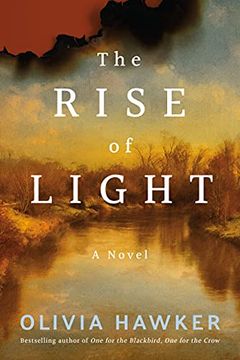 portada The Rise of Light: A Novel (in English)