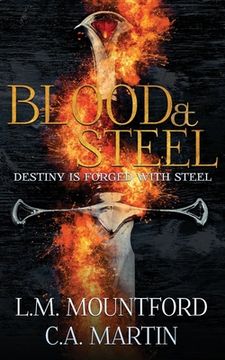 portada Blood & Steel: An Epic Blood Soaked Fantasy Adventure (in English)