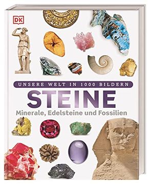 portada Steine: Minerale, Edelsteine und Fossilien in Über 1000 Bildern (en Alemán)