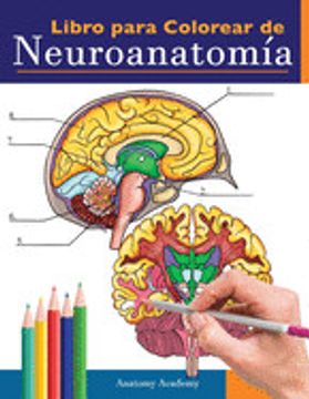 portada Libro Para Colorear de Neuroanatomía: Libro Para Colorear Detalladísimo de Cerebro Humano Para Autoevaluación en la Neurociencia | un Regalo Perfecto. De Medicina, Enfermeras, Médicos y Adultos (in Spanish)