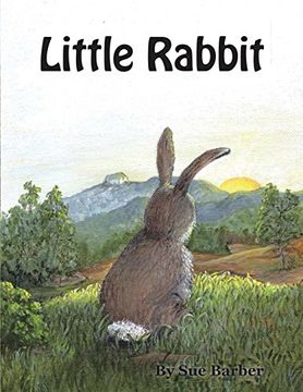 portada Little Rabbit