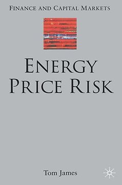 portada energy price risk: trading and price risk management (en Inglés)