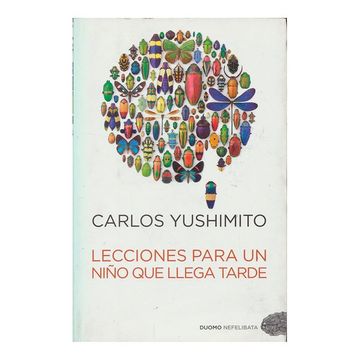 portada Lecciones Para un Niño que Llega Tarde (in Spanish)