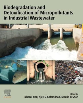 portada Biodegradation and Detoxification of Micropollutants in Industrial Wastewater (en Inglés)