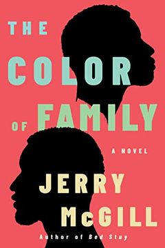 portada The Color of Family: A Novel 