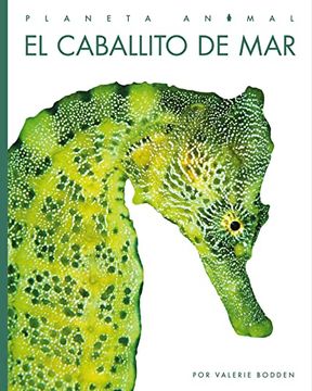 portada El Caballito de mar (Planeta Animal) (in English)